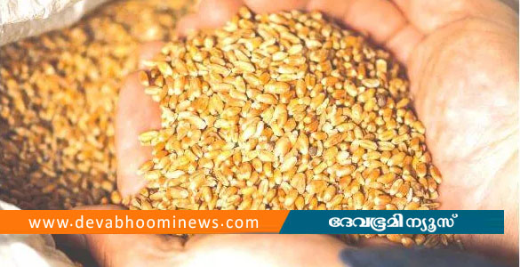 100 രൂപയുടെ ഗോതമ്പ് മോഷ്ടിച്ചു; 45 വര്&zwj;ഷത്തിന് ശേഷം പ്രതി പിടിയിൽ