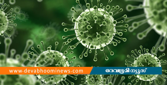 പശ്ചിമ ബംഗാളിൽ നിപ്പാ വൈറസ് ബാധിച്ച് ചികിത്സയിലായിരുന്ന നേഴ്സ് മരിച്ചു