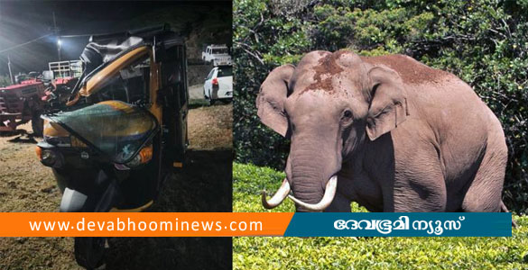 മൂന്നാറിൽ വീണ്ടും പടയപ്പയുടെ പരാക്രമം: ഓട്ടോ തകർത്തു