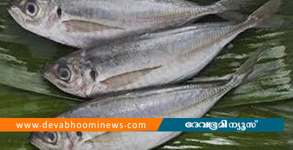 തിരുവനന്തപുരത്ത് മാർക്കറ്റിൽനിന്ന് വാങ്ങിയ പാര മീൻ കഴിച്ചു; മൂന്ന് പേർക്ക് ദേഹാസ്വാസ്ഥ്യം