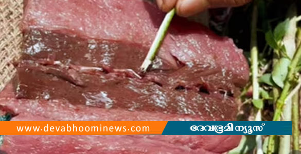 ചന്തയിൽ നിന്നു വാങ്ങിയ ചൂരയിൽ പുഴു; യുവതി പോലീസിൽ പരാതി നൽകി