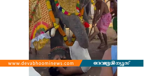 തൃശൂരില്&zwj; ഉത്സവത്തിനിടെ ആന ഇടഞ്ഞു; യുവാവിനെ തുമ്പിക്കൈ കൊണ്ട് എടുത്തെറിഞ്ഞു