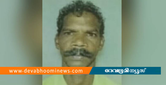 തൃശ്ശൂരിൽ കാട്ടാന ആക്രമണത്തിൽ വനം വകുപ്പ് വാച്ചർക്ക് ദാരുണാന്ത്യം