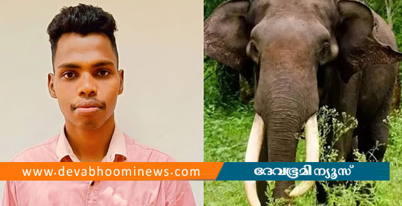 പാലക്കാട് കാട്ടാന ആക്രമണത്തില്&zwj; ഫോറസ്റ്റ് വാച്ചര്&zwj;ക്ക് ദാരുണാന്ത്യം