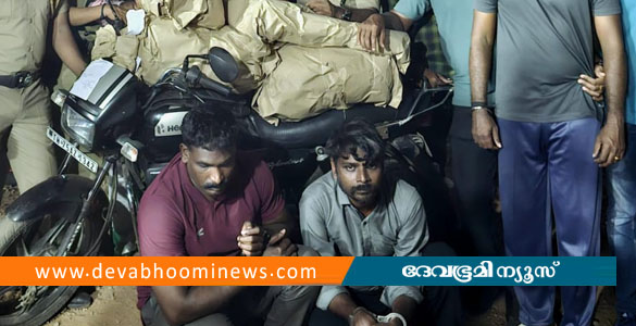 ചെങ്ങന്നൂരിൽ വൻ കഞ്ചാവ് വേട്ട; തമിഴ്&zwnj;നാട് സ്വദേശികൾ പിടിയിൽ