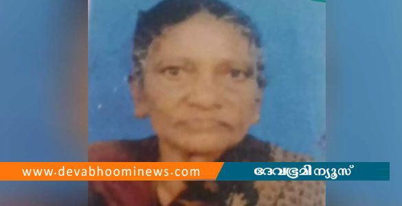 മലക്കപ്പാറയിൽ വയോധികയെ പുലി ആക്രമിച്ച് കൊന്നു