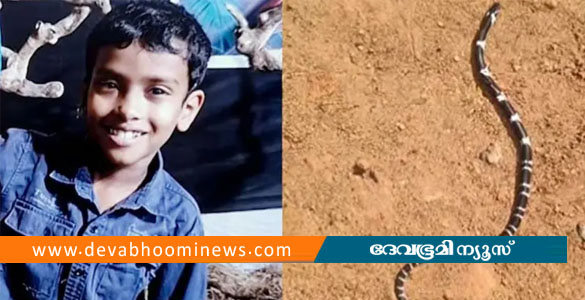 തലയണയ്ക്കടിയിൽ നിന്ന് പാമ്പു കടിയേറ്റ് 8 വയസുകാരൻ മരിച്ചു; സഹോദരന്റെ നില ഗുരുതരം