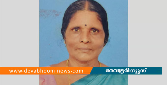 കുട്ടനാട്ടിൽ പാമ്പുകടിയേറ്റ് വീട്ടമ്മയ്ക്ക് ദാരുണാന്ത്യം