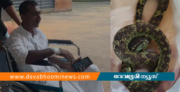 പോത്തിനെ തീറ്റുന്നതിനിടെ പാമ്പുകടിയേറ്റു; കടിച്ച പാമ്പുമായി മധ്യവയസ്കന്&zwj; ആശുപത്രിയിലെത്തി