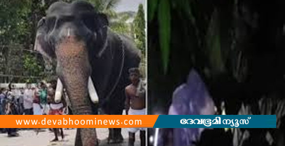 കൂടൽമാണിക്യം ക്ഷേത്രത്തിൽ വീണ്ടും ആന ഇടഞ്ഞു
