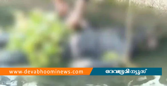ചമ്പക്കര കനാലില്&zwj; അജ്ഞാത മൃതദേഹം ഒഴുകിയെത്തി