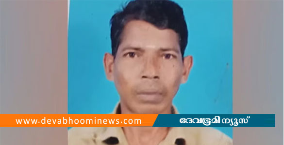 മലമ്പുഴയിൽ ഉറങ്ങിക്കിടന്നയാളെ കാട്ടാന ചവിട്ടിക്കൊന്നു; രണ്ടുപേർ ഓടി രക്ഷപ്പെട്ടു