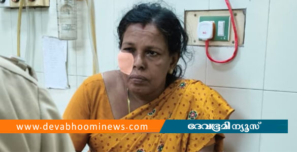 കാസർകോട് ട്രെയിനിന് നേരെയുണ്ടായ കല്ലേറിൽ വീട്ടമ്മയ്ക്ക്&zwnj; പരിക്ക്