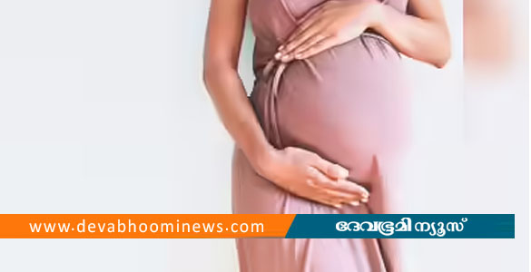 വൈദ്യുതാഘാതമേറ്റ ഗര്&zwj;ഭിണിക്ക് ചികിത്സ വൈകി; ഗർഭം അലസി പോയതായി പരാതി