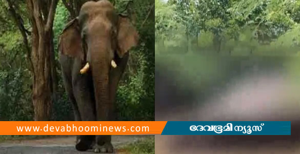 ആളിയാർ ഡാമിലെ കനാലിൽ ചില്ലിക്കൊമ്പന്റെ ജഢം കണ്ടെത്തി
