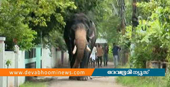 തൃശൂർ നഗരത്തിൽ വിരണ്ടോടിയ ആനയ്ക്ക് എഴുന്നള്ളിപ്പിന് വിലക്ക്