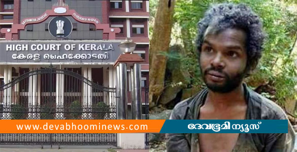 അട്ടപ്പാടി മധു വധക്കേസ്; പന്ത്രണ്ട് പ്രതികൾക്ക് ജീവപര്യന്തം