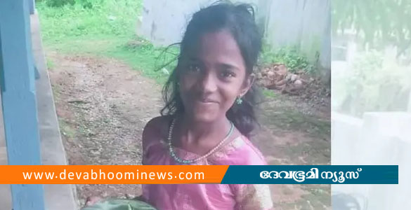നെന്മാറയിൽ പാമ്പുകടിയേറ്റ് ചികിത്സയിലായിരുന്ന 13 വയസുകാരി മരിച്ചു
