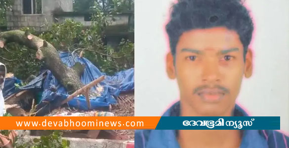 മണലൂരിൽ വീടിന് മുകളിൽ മരം വീണു; യുവാവിന് ദാരുണാന്ത്യം