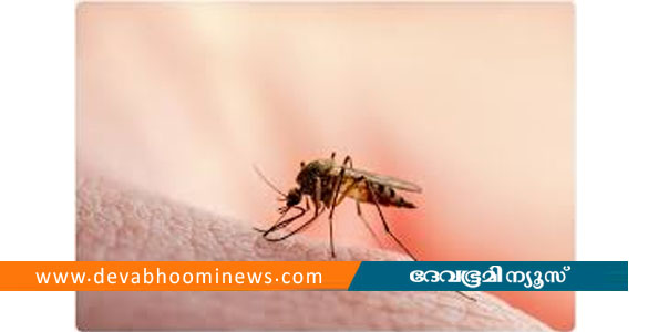 കോഴിക്കോട് ഇതരസംസ്ഥാന തൊഴിലാളിക്ക് മലേറിയ സ്ഥിരീകരിച്ചു