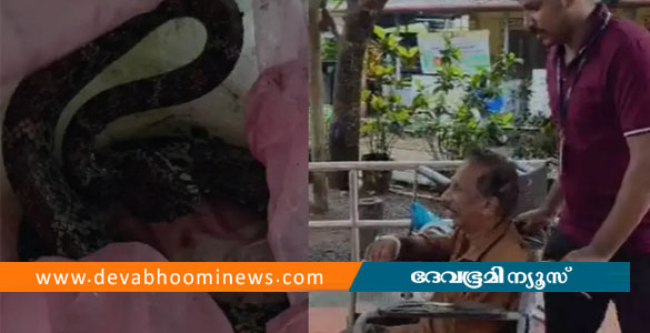 വാഴക്കുല വെട്ടുന്നതിനിടെ വയോധികന് പാമ്പ് കടിയേറ്റു; കടിച്ച പാമ്പുമായി ആശുപത്രിയിലെത്തി