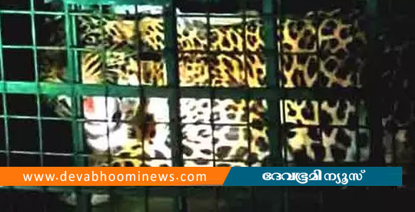 കേളകത്ത് ജനവാസ കേന്ദ്രത്തിലിറങ്ങി ഭീതി പരത്തിയ പുലി ഒടുവിൽ കൂട്ടിലായി