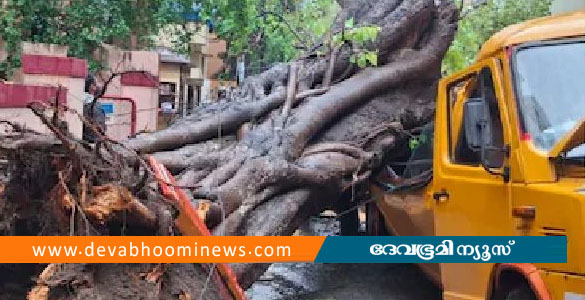 മുംബൈയില്&zwj; സ്&zwnj;കൂള്&zwj; ബസിന് മുകളിൽ ആൽമരം കടപുഴകി വീണ് 11 വയസുകാരന് ദാരുണാന്ത്യം