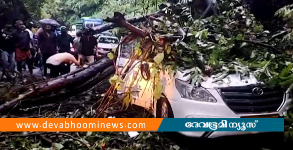 താമരശ്ശേരി ചുരത്തിൽ ഓടിക്കൊണ്ടിരുന്ന കാറിന് മുകളിലേക്ക് മരം വീണു