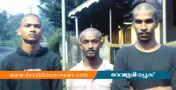 പെരുമ്പാവൂരിൽ ലഹരി വിൽപനക്കാരെന്ന് ആരോപിച്ച് 3 യുവാക്കളെ തല മൊട്ടയടിച്ച് മർദ്ദിച്ചു
