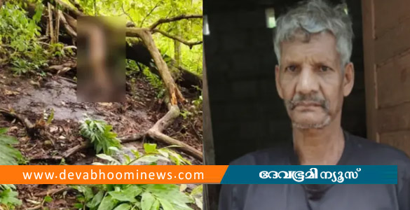 കോന്നിയിൽ കാണാതായ ഊരുമൂപ്പനെ മരിച്ച നിലയിൽ കണ്ടെത്തി