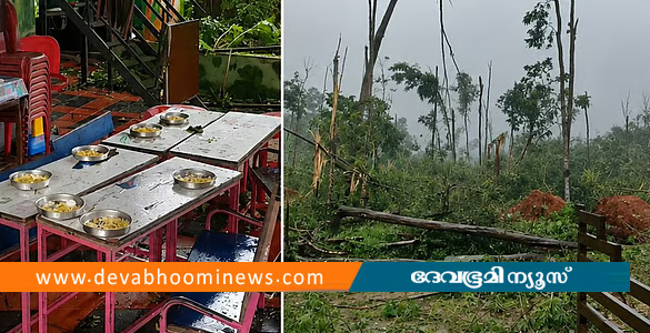 പെരുമ്പാവൂരിൽ മരം വീണ് അങ്കണവാടിയുടെ ഒരുഭാഗം തകർന്നു