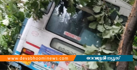 പോത്തുണ്ടിയിൽ കെഎസ്ആര്&zwj;ടിസി ബസ് മറിഞ്ഞ് അപകടം; ഒരാൾ മരിച്ചു
