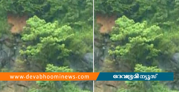 കുതിരാൻ തുരങ്കത്തിന്റെ പടിഞ്ഞാറേ ഭാഗത്ത് മണ്ണിടിച്ചിൽ