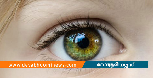 ദേശീയ നേത്രദാന പക്ഷാചരണം: കോട്ടയം ജില്ലാതല ഉദ്ഘാടനവും സെമിനാറും നാളെ