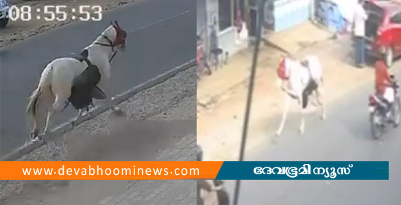 ചെറുതുരുത്തിയിൽ കുതിര നിയന്ത്രണം വിട്ട് റോഡിലൂടെ ഓടി; ഒരാൾക്ക് പരിക്ക്