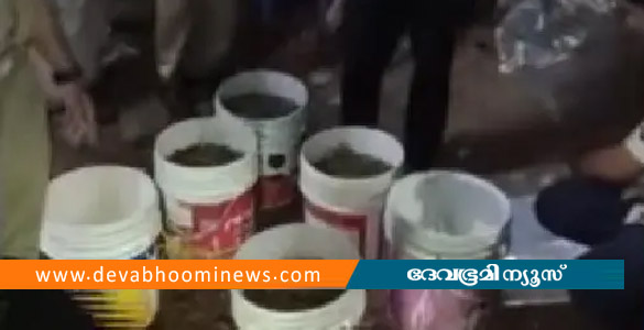 പെയിന്റ് ബക്കറ്റുകളില്&zwj; ഒളിപ്പിച്ചത് 16 കിലോ കഞ്ചാവ്; കൊച്ചിയില്&zwj; 2 പേർ അറസ്റ്റിൽ