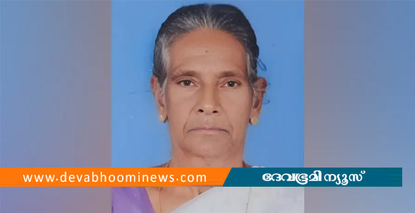 ഇരിട്ടിയിൽ കടന്നൽ കുത്തേറ്റ് ചികിത്സയിലായിരുന്ന വയോധിക മരിച്ചു