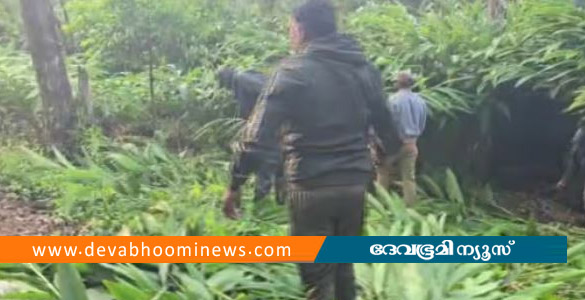 ചിന്നക്കനാലിൽ അനധികൃത കയ്യേറ്റം ഒഴിപ്പിച്ച് വനംവകുപ്പ്; ഏലത്തൈകളും ഫെൻസിങ്ങും നീക്കി
