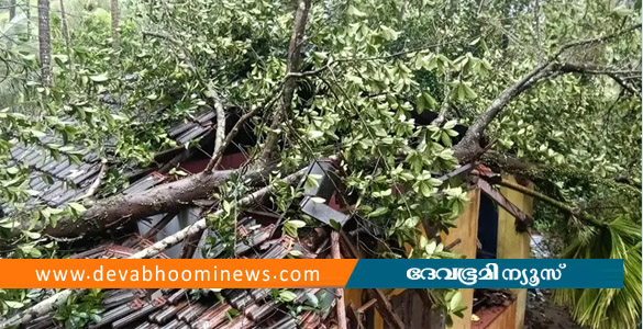 കനത്ത മഴ: കോഴിക്കോട് മരം വീണ് വീട് തകർന്നു, ദമ്പതികൾക്ക് പരിക്ക്