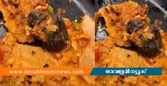 ദോശയില്&zwj; ചത്ത എലി; പരാതി ഒതുക്കാന്&zwj; ഹോട്ടലുടമയോട് 25 ലക്ഷം രൂപ ആവശ്യപ്പെട്ടു; സ്ത്രീകള്&zwj; പിടിയിൽ