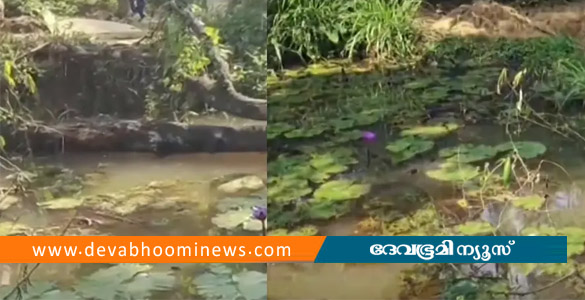 കല്&zwj;പ്പറ്റയില്&zwj; ഒന്നരവയസുകാരന്&zwj; കുളത്തില്&zwj; വീണ് മരിച്ചു